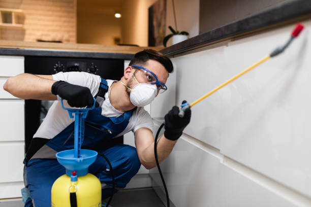 Best Residential Pest Control  in Mckinleyville, CA