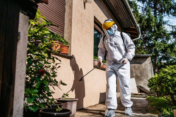 Best Mosquito Control Services  in Mckinleyville, CA