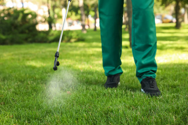 Best Best Pest Control Near Me  in Mckinleyville, CA