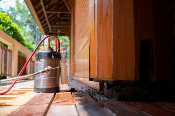 Best Exterminator Services  in Mckinleyville, CA
